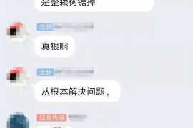 红河贷款清欠服务